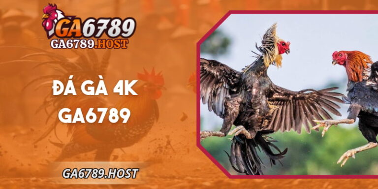 Đá Gà 4K GA6789 - Trải Nghiệm Xem Sắc Nét Và Thực Tế