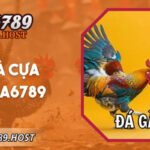 Đá Gà Cựa Dao GA6789 - Trực Tiếp Sôi Động Mỗi Ngày