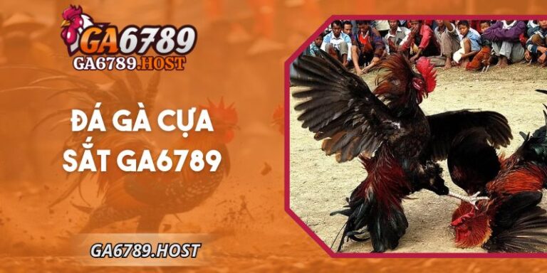 Đá Gà Cựa Sắt Ga6789 Trực Tuyến Minh Bạch Tốc Độ Cao