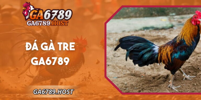 Đá Gà Tre GA6789 - Trận Đấu Nhanh Gọn Đầy Kịch Tính