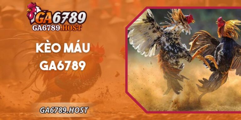 Kèo Máu Ga6789 – Nhận Diện Nhịp Đá Gà Áp Lực Cao Rõ Nét